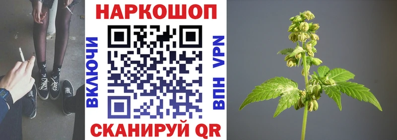 Что такое Николаевск-на-Амуре Псилоцибиновые грибы Alpha-PVP Меф Гашиш Амфетамин